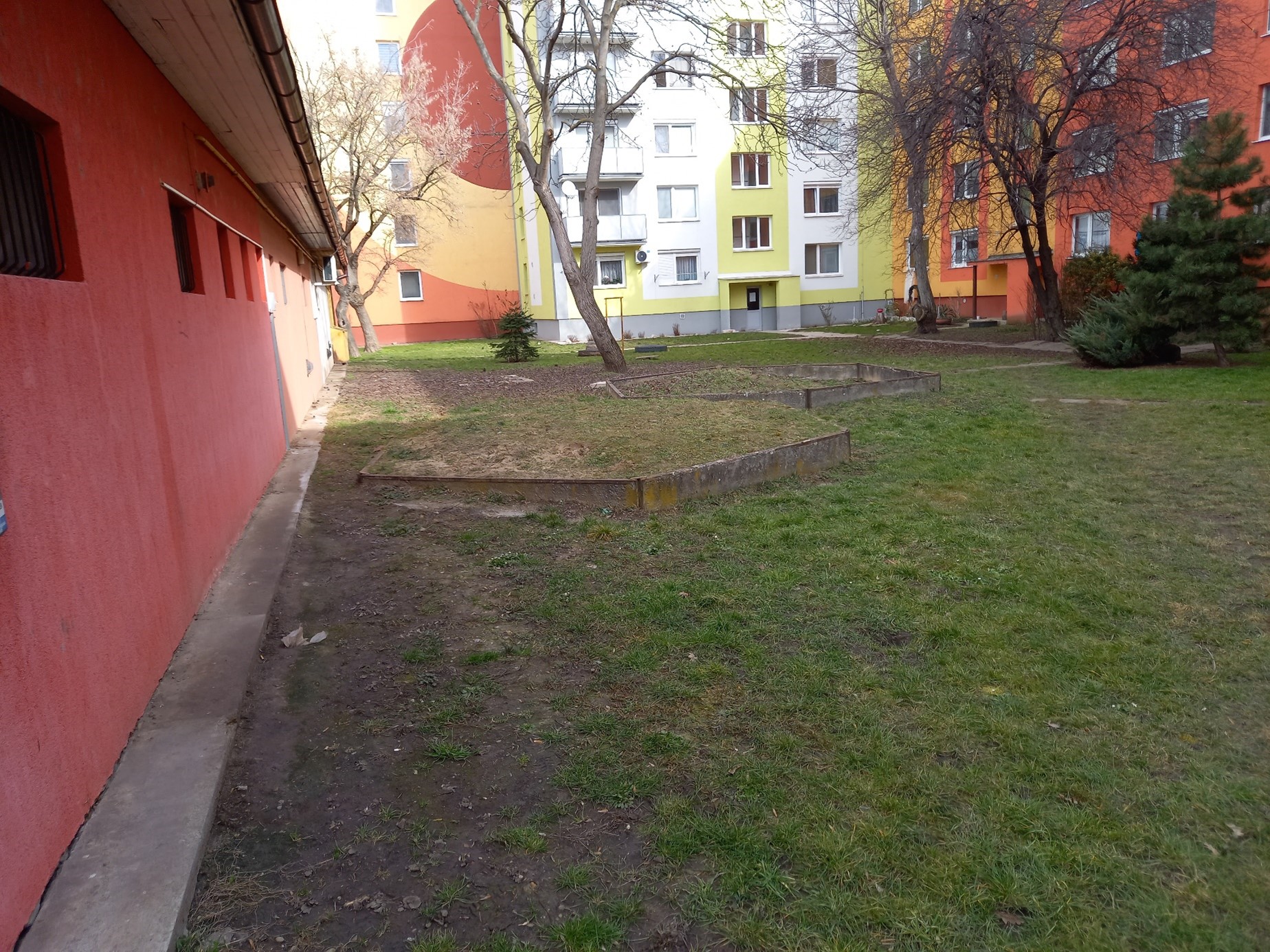 project_image